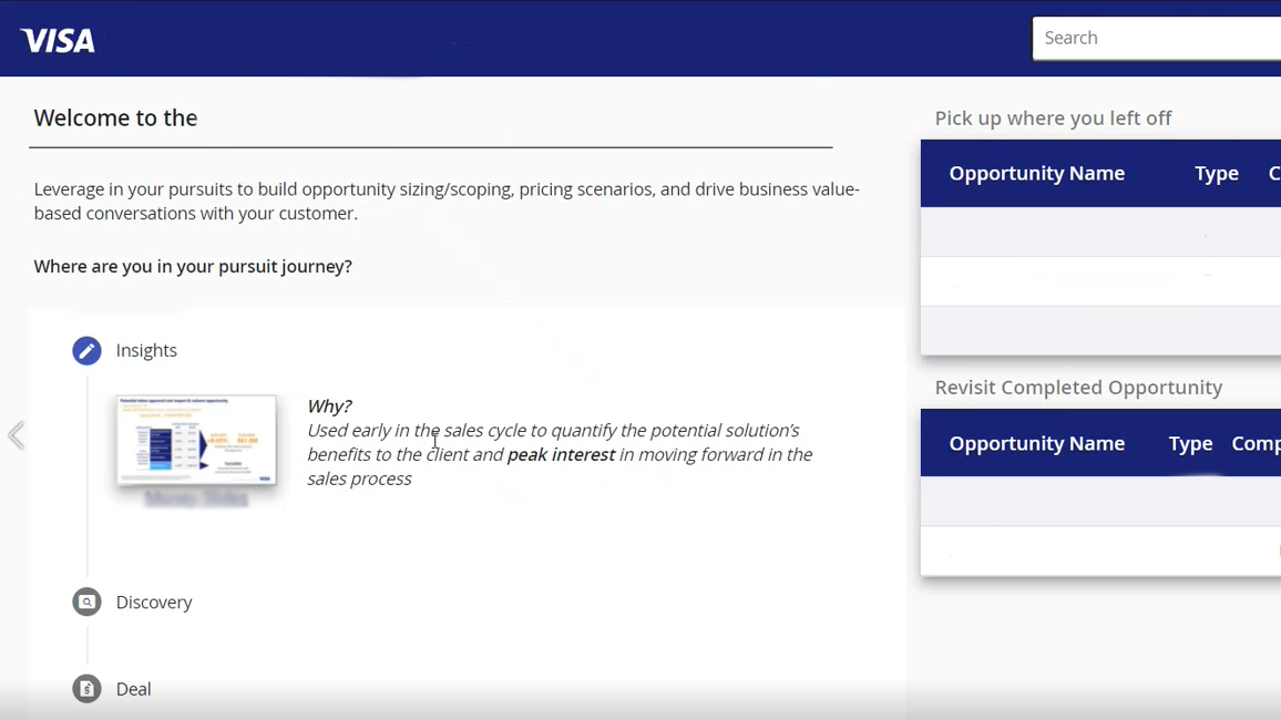 A screenshot of the alpha version of Visa's software they wanted re-designed